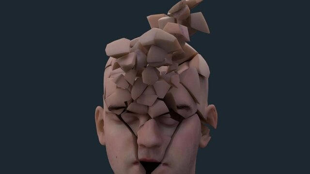 crumbling human head