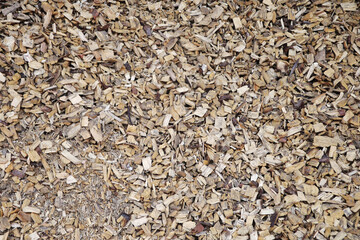 Sawdust wooden filling seamless background
