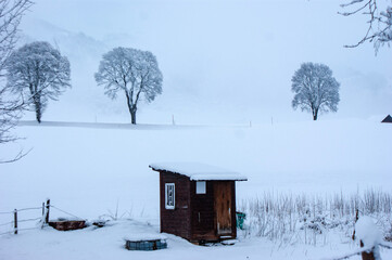 landscape in the village