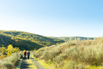 Castañar de Hermisende en la provincia de Zamora, España © Eduardo