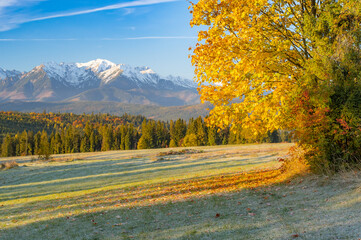 Naklejka na ściany i meble Moutain landscape, Tatra mountains panorama, colorful autumn view from Lapszanka pass, Poland and Slovakia