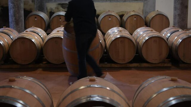A winegrower rolls a barrel in her cellar for storage, Bordeaux Vineyard, France