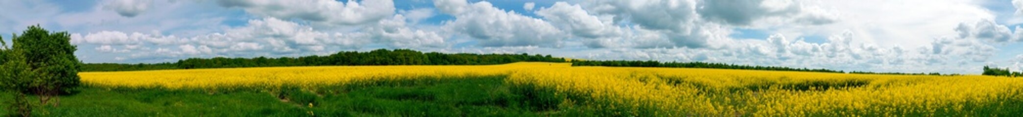 Fototapeta premium Panorama of yellow rapeseed valley. The mountains and the beautiful spring sky in the background