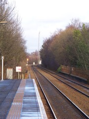 Fototapeta premium railroad tracks for the country