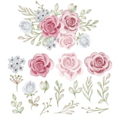 Set of Rose Isolated Floral Rose Pink Clipart