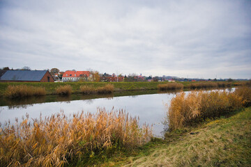 Fototapeta na wymiar Leipzig Saale Kanal, Saale Elster Kanal, Ufer mit Schilf, Leipzig, Sachsen, Deutschland