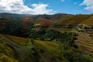 Obraz premium Panoramic view on Douro river valley and colorful hilly stair step terraced vineyards in autumn, wine making industry in Portugal