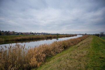 Ruderstrecke Leipzig Saale Kanal, Saale-Elster-Kanal im Herbst, Ufer mit Schilf, Leipzig, Sachsen, Deutschland
