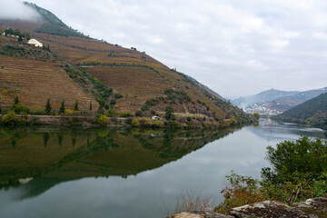 Fototapeta na wymiar View on Douro river with reflection in water of colorful hilly stair step terraced vineyards in autumn, wine making industry in Portugal