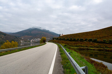 Panoramic view on Douro river valley and colorful hilly stair step terraced vineyards in autumn, wine making industry in Portugal