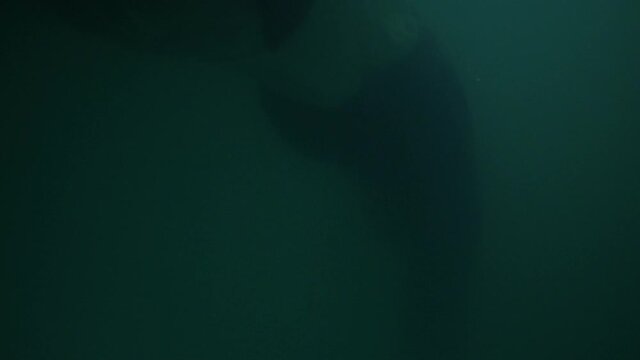 a man in clothes is drowning under water