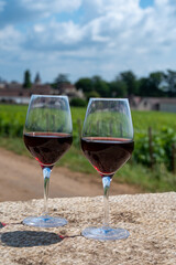 Tasting of burgundy red wine from grand cru pinot noir  vineyards, two glasses of wine and view on green vineyards in Burgundy Cote de Nuits wine region, France
