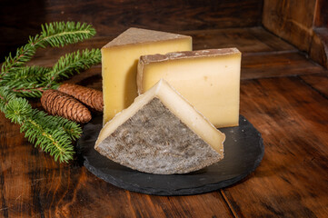 Cheese collection, French cow cheese comte, beaufort, abondance, tomme de savoie and fir cones