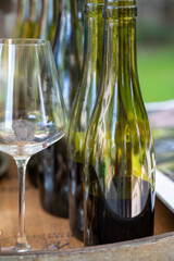 Tasting of dry burgundy white wine made from chardonnay grapes, wine tourisme to Burgundy Cote de Beaune wine region, France