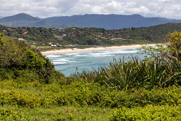 Beach view with vegetation in beach in background