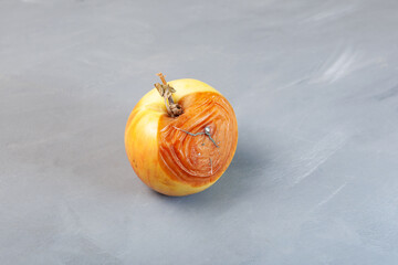 Rotten spoiled apple on grey background. Ugly moldy fruit, selective focus. Improper food storage. Concept - reduction of organic waste