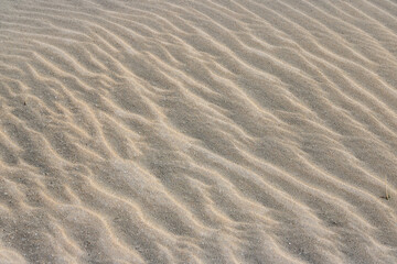 Fototapeta na wymiar Wind im Sand