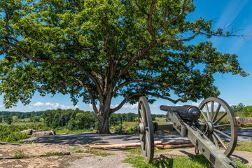 Fototapeta na wymiar Canon beneath an old beautiful tree in Gettysburg