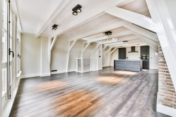 Stylish room with kitchen at the beginning of the room