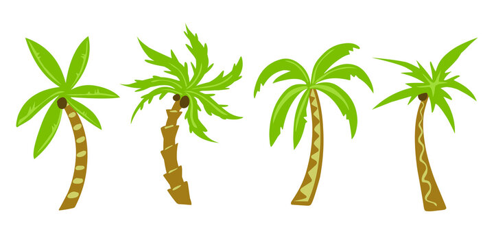palm trees tropical set flat vector illustration