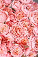 rose juliet. Floral carpet, flower texture, shop concept. Beautiful fresh blossoming flowers roses, spray roses. Blossom in vases and pails. Top view.