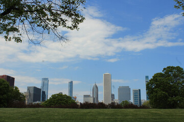 Fototapeta premium Chicago Central Park 3