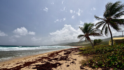 The Walkers Beach in the east-north side of Barbados island