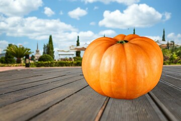 Thanksgiving Pumpkin. Halloween Pumpkin. Autumn Pumpkin on the desk