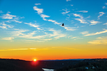 Soar