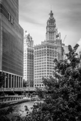 Fototapeta na wymiar Famous Wrigleys Building in Chicago