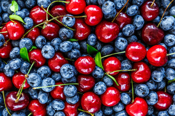 Water drops on ripe sweet blueberry.Gooseberries, blueberries,cherry, mulberry, raspberries, white and red currants. Vegan and vegetarian concept.Texture blueberry berries close up