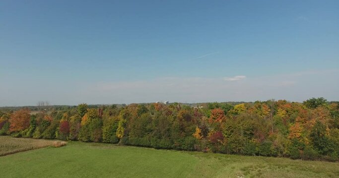 Ascending Aerial Over Forest Of Trees In Autumn Revealing City Buildings In Distance
