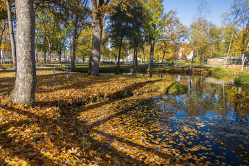 Fototapeta na wymiar Autumn in the park with colorful leaves in pond