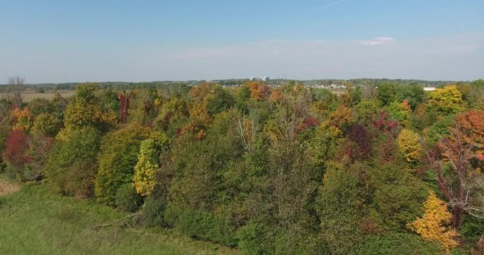 Flying Torward Forest Of Autumn Trees With City Skyscrapers In Background