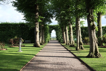path in the park