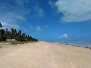 Fototapeta na wymiar Palm trees, sand and sea at Sao Miguel dos Milagres, Alagoas, Brazil.