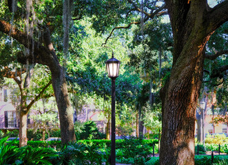 Lamp in Savannah Square