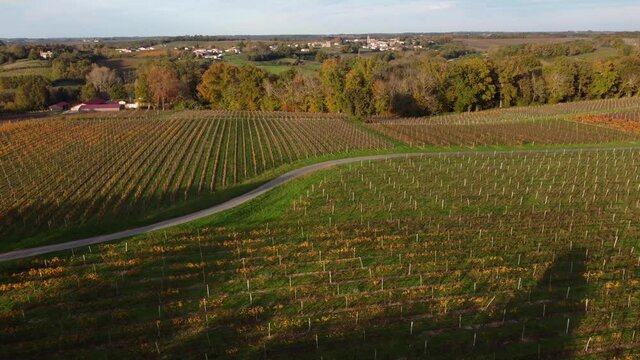 Aerial view bordeaux vineyard, landscape vineyard south west of france, europe 