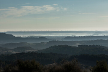 Hills and cereal fields, in a misty landscape of backlit silhouettes in the morning, near of Ardisa village, in the Cinco Villas region, Zaragoza, Aragon, Spain
