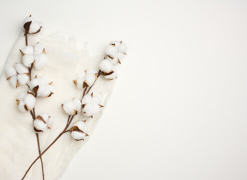 piece of white gauze and a sprig with white cotton flowers on the table, top view, copy space