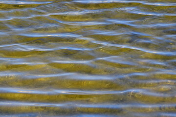 ONDAS EN LA SUPERFICIE DEL AGUA