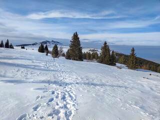 Fototapeta premium Amazing Winter landscape of Vitosha Mountain, Bulgaria