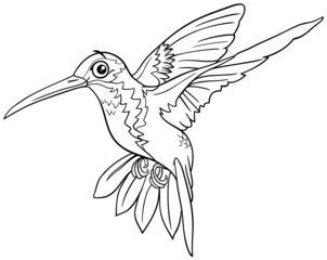 cartoon hummingbird bird animal character coloring book page