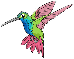 hummingbird bird animal character cartoon illustration