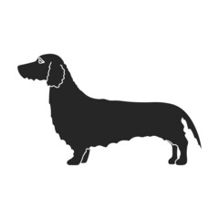 Dachshund vector icon.Black vector icon isolated on white background dachshund.