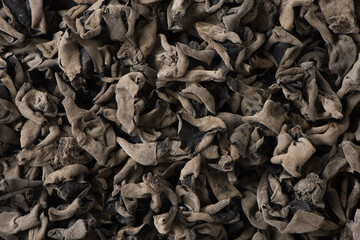 Dry black fungus or wood ear mushroom texture background.