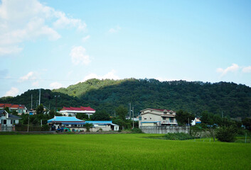 한국의 시골, 농촌, 집, 풍경