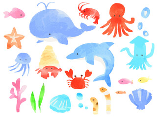 海の生き物　水彩ベクターイラスト