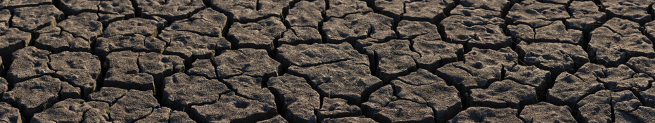 Earth cracked because of drought. The global shortage of water on the planet. Global warming concept. Dry cracks in the land.
