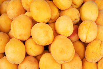 Fototapeta na wymiar background of juicy ripe apricots close-up